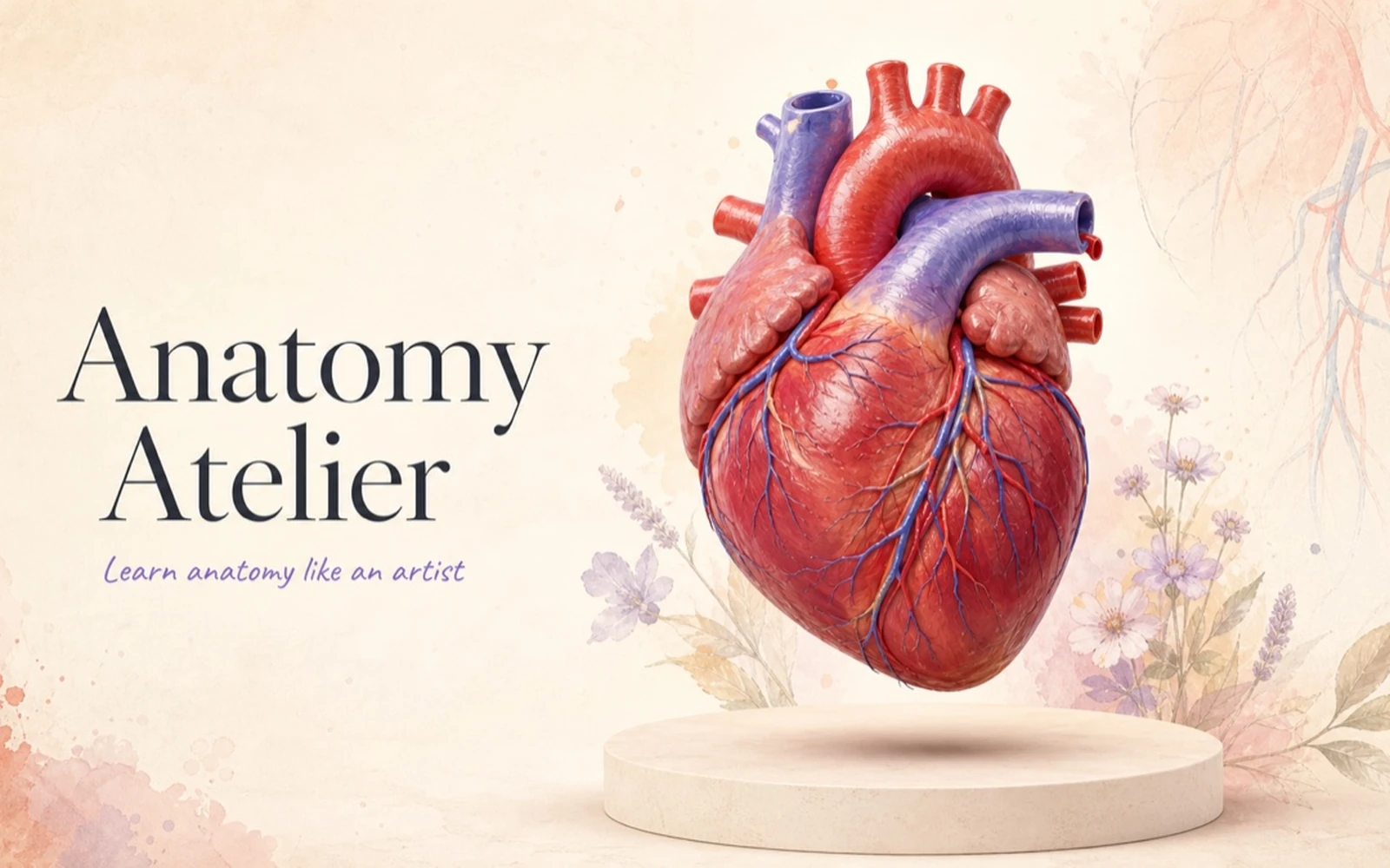Atelier di anatomia 3D